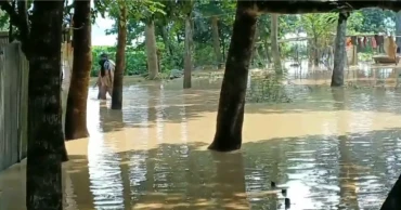 শেরপুরে বন্যা পরিস্থিতির উন্নতি হলেও বাড়ছে দুর্ভোগ; ৫০০ কোটি টাকার ফসলের ক্ষয়ক্ষতি