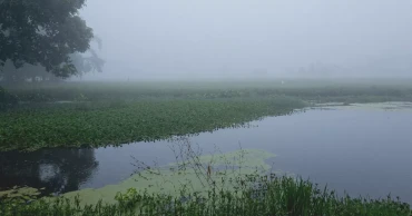 উত্তরাঞ্চলে শরতেই কুয়াশার আগমন