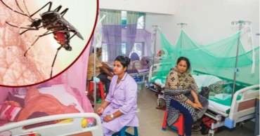 ডেঙ্গু আক্রান্তের ঊর্ধ্বগতির মধ্যে আরও ২ মৃত্যু, হাসপাতালে ভর্তি ৩৯২