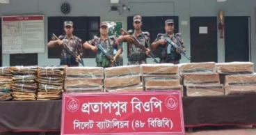 সিলেট সীমান্তে ১ কোটি ২০ লাখ টাকার ভারতীয় চোরাচালান পণ্য জব্দ