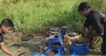 কেরানীগঞ্জে কৃষিজমির আড়ালে বাংলা মদের কারখানা জব্দ