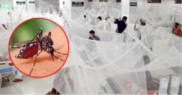 ডেঙ্গুতে আরও ৩৭৫ জন হাসপাতালে ভর্তি
