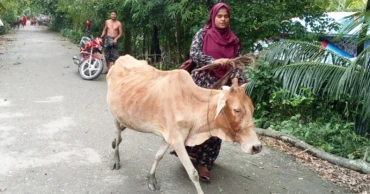 ঘূর্ণিঝড় ‘দানা’: ভোলায় প্রস্তুত ৮৬৯ আশ্রয়কেন্দ্র