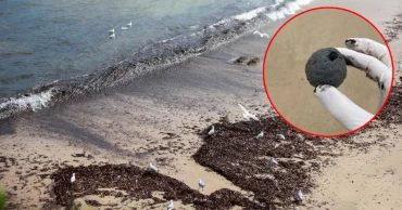 রহস্যময় কালো বলে সয়লাব, সিডনির সৈকত বন্ধ ঘোষণা