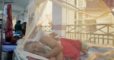 ডেঙ্গুতে ২৪ ঘণ্টায় ২ মৃত্যু, হাসপাতালে ৯৫৫