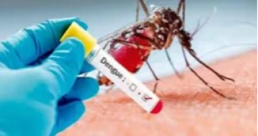 Dengue cases surge in Khulna division amid poor hospital preparedness