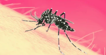 Dengue: 26 more cases reported in 24hrs