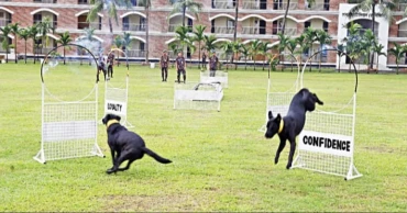 BGB’s K-9 Hero ‘Meghla’ foils liquor smuggling attempt in Teknaf