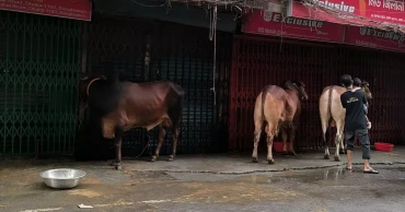 Shortage of butchers delays sacrificial slaughter on Eid Day in Dhaka