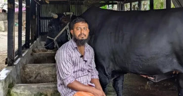 Sohag Mridha, who gifted cow named 'Kala Manik' to Khaleda Zia, arrested over assault related to family dispute