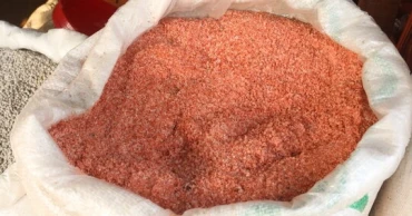 CCGP approves import of 1.15 lakh tonnes fertiliser