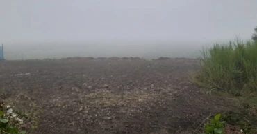 A touch of winter in Chaitra: Dense fog blankets Faridpur, Onion farmers worried