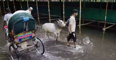 Fresh spell of rain triggers waterlogging in Dhaka, hampers  Eid preparations
