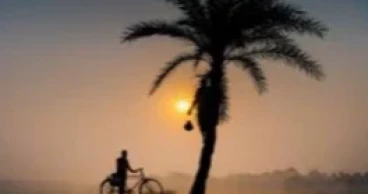 Mild cold wave sweeps parts of Bangladesh: BMD