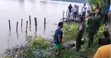 Crocodile relocated from Khan Jahan Ali shrine pond after child's death