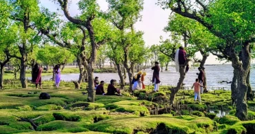 Nidra Sea Beach: A hidden coastal gem yearning to be discovered