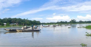 Halda River declared as ‘Fish Heritage’; fishing banned