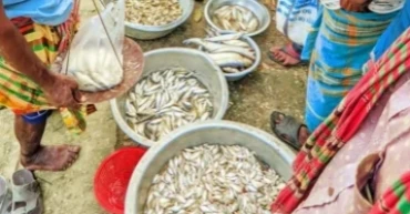 Fisheries Ministry highlights 100-day achievements on nutrition security