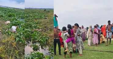 Over 100 cattle swept away by tidal surge in Munshiganj; 36 carcasses recovered