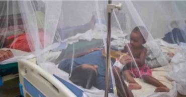 3 more die of dengue, 428 new cases recorded in 24hrs