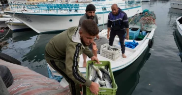 Lebanese fishers hope ceasefire restores normal life soon