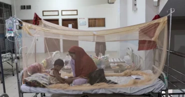Death toll reaches 43 as 3 more die of dengue in 24 hrs