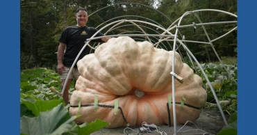 The science behind growing a giant pumpkin