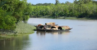 Sundarbans reopens after three-month fishing, tourism ban