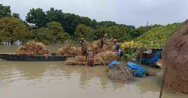 Padma water level starts falling in Chapainawabganj