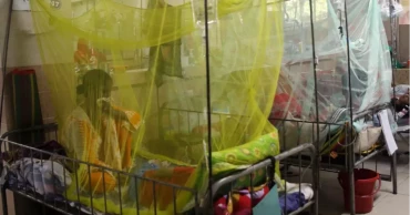 Dengue claims 5 more lives, 1,898 hospitalised in 24 hrs