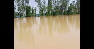 Death toll from Sherpur floods rises to 9 as one more dies