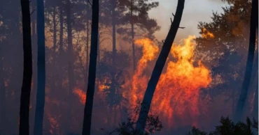 Wildfires force mass evacuations in Spain and France as heatwave fuels blazes