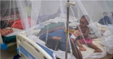 Dengue: 2 more die, 516 hospitalised in 24 hours