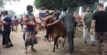 No shortage of sacrificial animals for Eid-ul-Azha: Livestock Minister