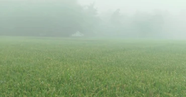 Bangladesh may face 10 cold waves this winter: Met Office