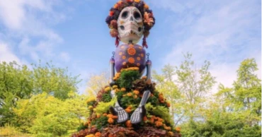 Marigolds take centre stage on Día de los Muertos altars to guide spirits home