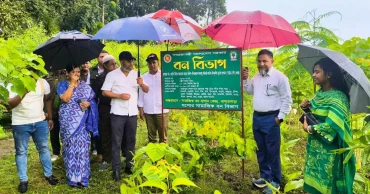 State Minister Faridul inspects 20-km strip, 5-km palm plantations in Jashore