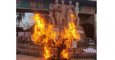 Effigies of adviser Sakhawat, BIDA’s Ashik, amongothers burnt at DU