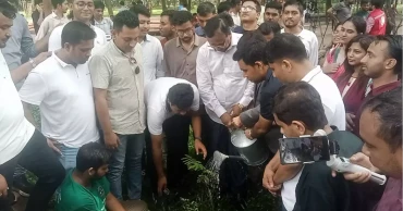 DU Chhatra Dal launches tree plantation drive in memory of July martyrs