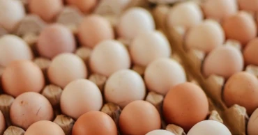 Egg farmers losing Tk 2 per egg amid market slump: State Minister
