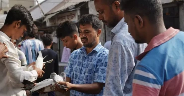 ‘400-year-old’ Zinzira pigeon market keeps Mughal-era tradition alive