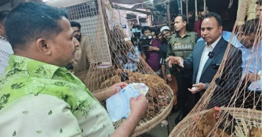 Mobile court fines 15 traders, seals 2 meat shops in Keraniganj market drive