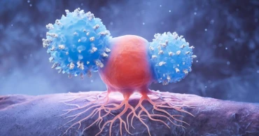 People who live beyond 110 may have unusually high levels of killer immune cells
