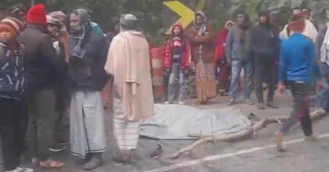 Fish trader killed in Chuadanga road crash