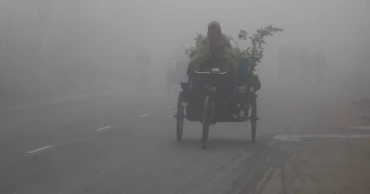 Biting cold and chilling winds disrupt daily life in Naogaon