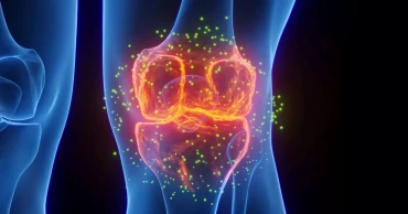 Ultra-processed foods linked to hidden thigh muscle fat, possible knee risk
