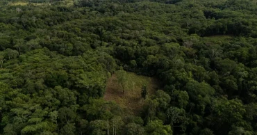 Colombia turns to drones to spray coca crops amid surge in cocaine output