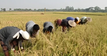 New climate-resilient project aims to create 1,000 new agri-entrepreneurs in Rajshahi division