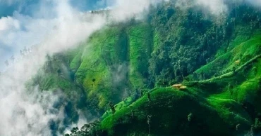 Bandarban’s ‘Ala Mi Tlang’ Eco Resort: A hope of Bawm community