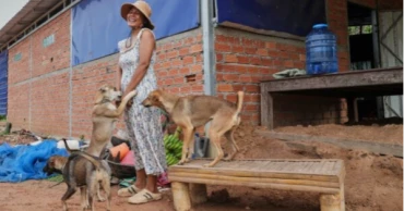 Thailand-Cambodia ceasefire holds amid tensions, US trade pressure key to truce